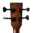 Martin BC16E Rosewood 16 Series With Case