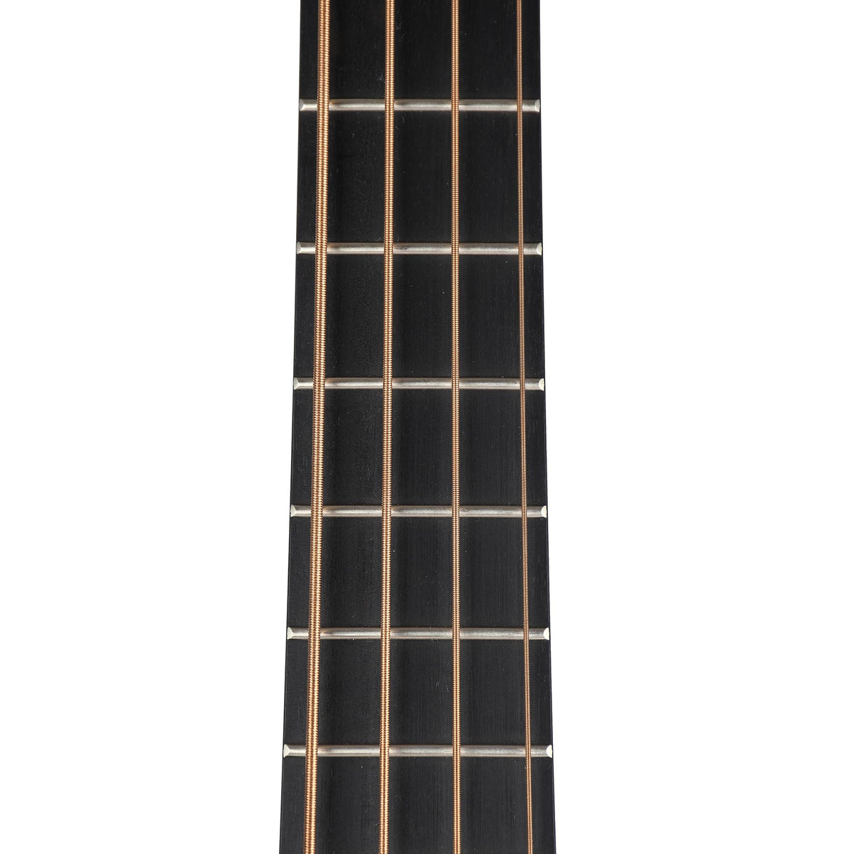 Martin BC16E Rosewood 16 Series With Case