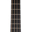 Martin BC16E Rosewood 16 Series With Case