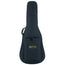 Martin D10E Road Series Acoustic Electric Guitar- Natural with Soft Case