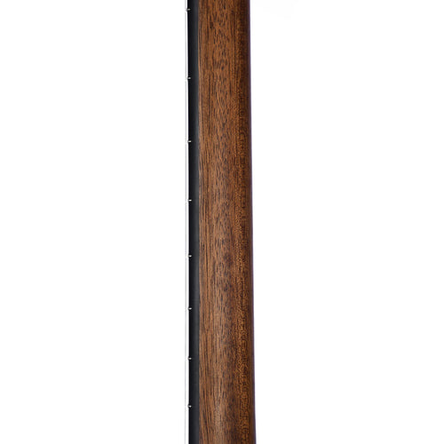 Martin D12E Road Series Natural With Soft Case