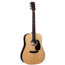 Martin D13E Road Series Natural With Soft Case