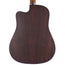 Martin DCX2E Rosewood With Gig Bag
