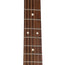 Martin DCX2E Rosewood With Gig Bag