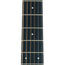 Martin DX Woodstock 50th Anniversary