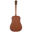 Martin DX1E Natural Mahogany With Gig Bag