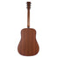 Martin DX1E Natural Spruce With Gig Bag