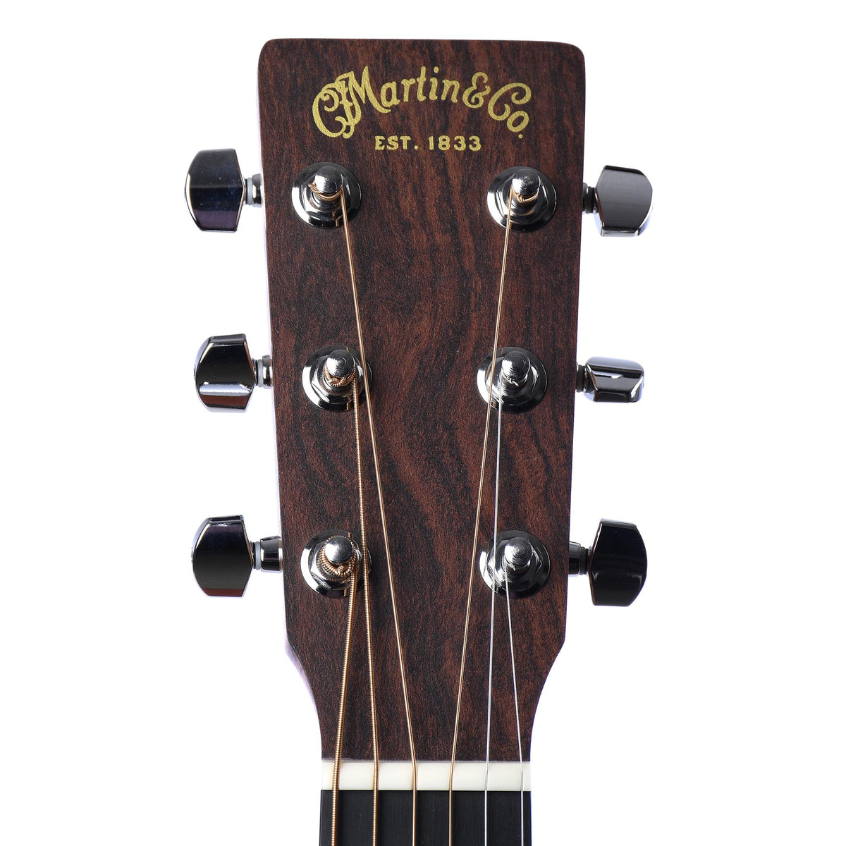 Martin DX1E Natural Spruce With Gig Bag