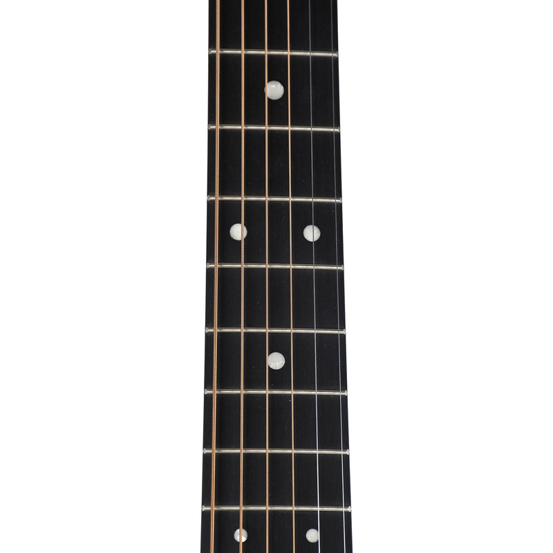 Martin DX1E Natural Spruce With Gig Bag