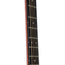 Martin DX1RAE Sitka Spruce/Rosewood Pattern - Natural