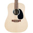 Martin DX2E 12-String Acoustic Guitar With Gig Bag