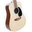 Martin DX2E 12-String Acoustic Guitar With Gig Bag