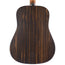 Martin DX2E Natural Macassar Ebony With Gig Bag