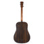 Martin DX2E Natural Macassar Ebony With Gig Bag