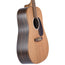 Martin DX2E Natural Macassar Ebony With Gig Bag