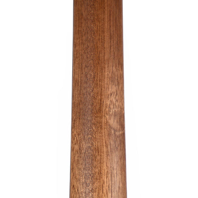 Martin DX2E Natural Macassar Ebony With Gig Bag