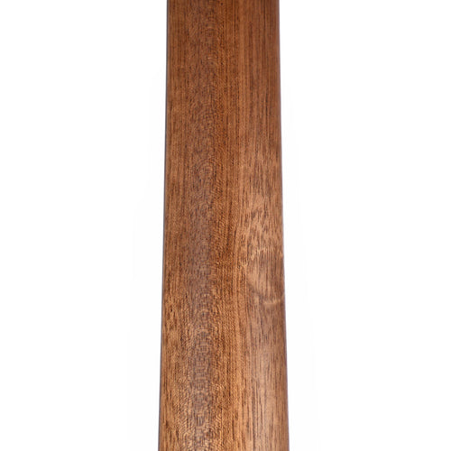 Martin DX2E Natural Macassar Ebony With Gig Bag