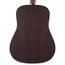 Martin DX2E Rosewood Acoustic-Electric Guitar, Natural w/Gigbag