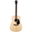 Martin DX2E Rosewood Acoustic-Electric Guitar, Natural w/Gigbag