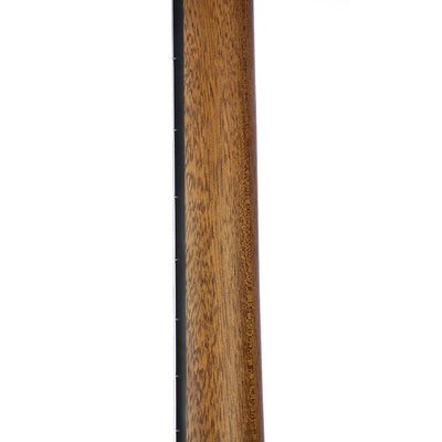 Martin Grand Performance Road Series With Case