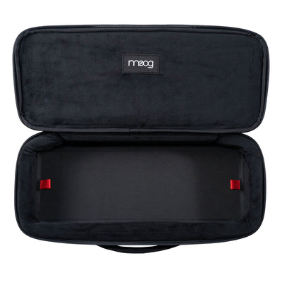 Moog Etherwave Theremin SR Series Case