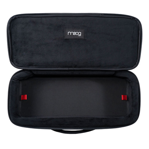 Moog Etherwave Theremin SR Series Case