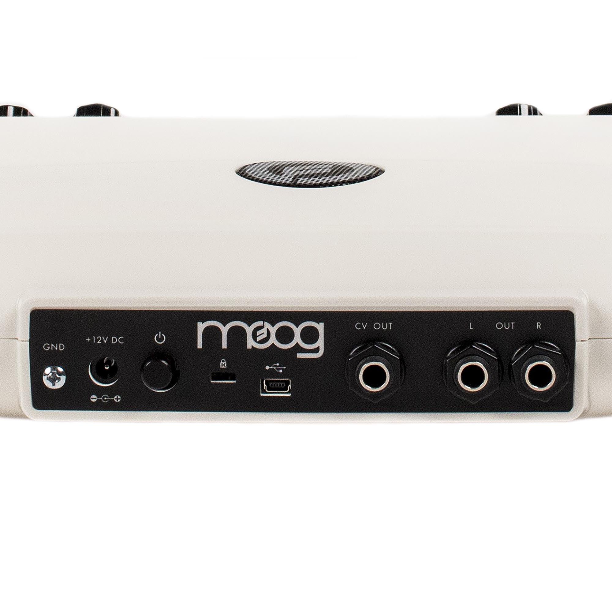 Moog Theremini Theremin with Assistive Pitch Correction – Russo Music