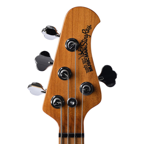 Ernie Ball Music Man StingRay Special HH Bass, Black