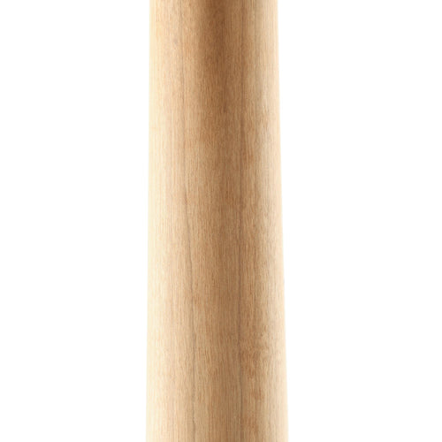 Ernie Ball Music Man StingRay Special HH Maple, Ghostwood