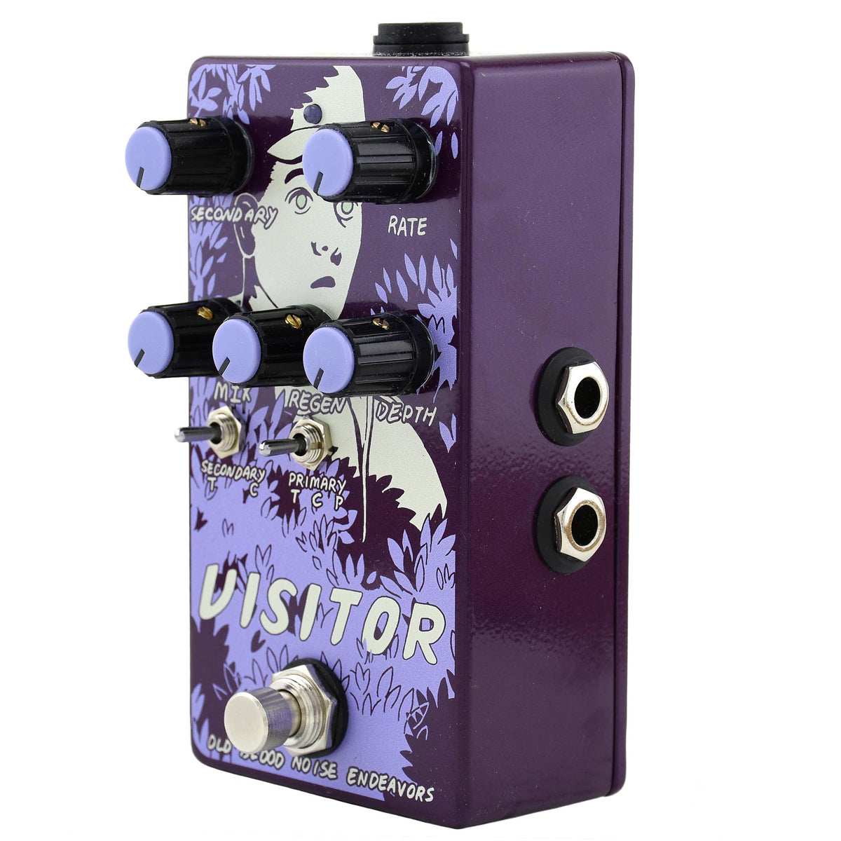 Old Blood Noise Endeavors Visitor Modulation Effect Pedal