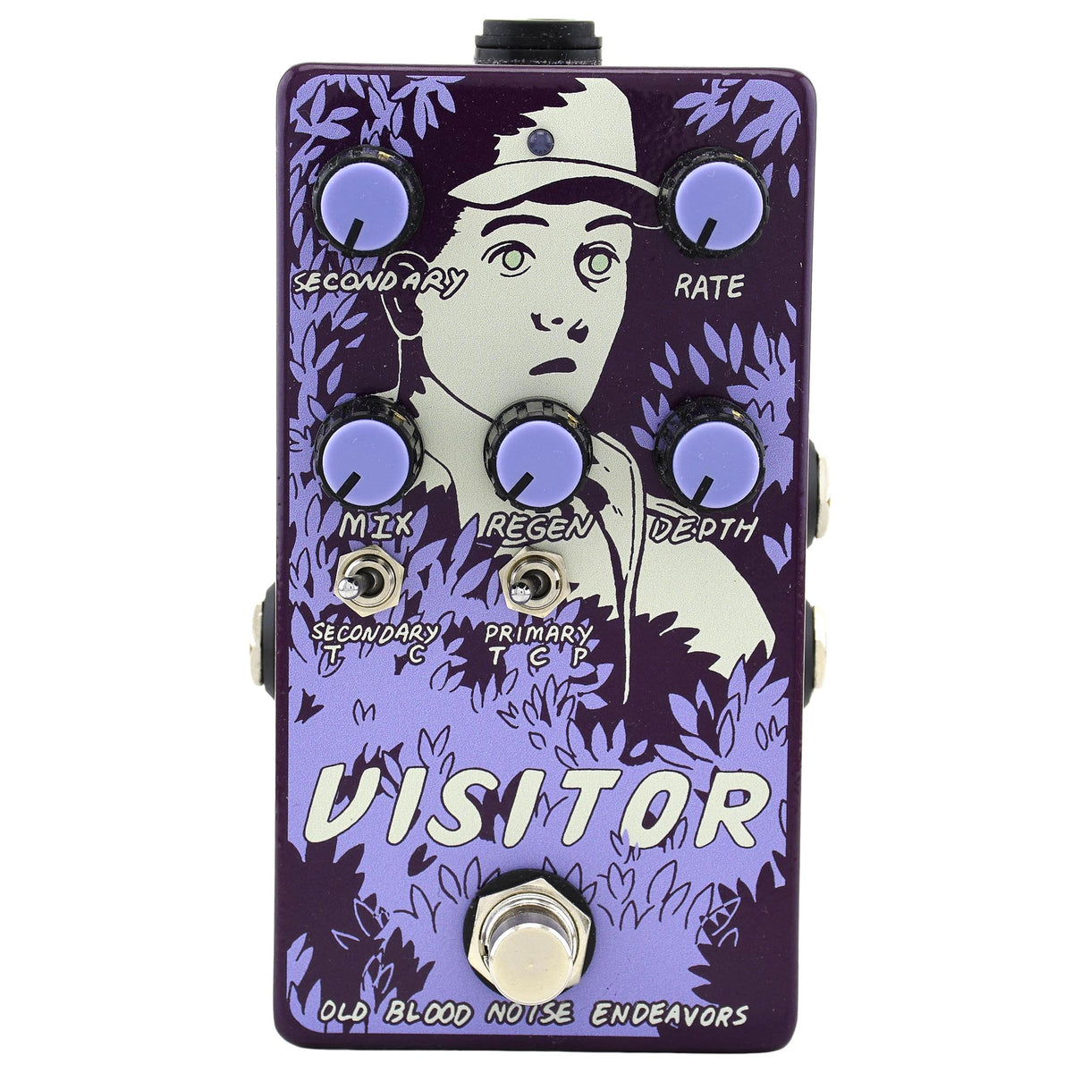 Old Blood Noise Endeavors Visitor Modulation Effect Pedal