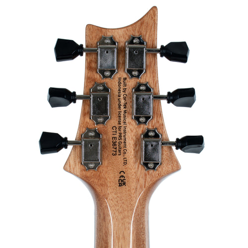 PRS SE Paul's Guitar Electric Guitar Rosewood Fingerboard Faded Blue Burst