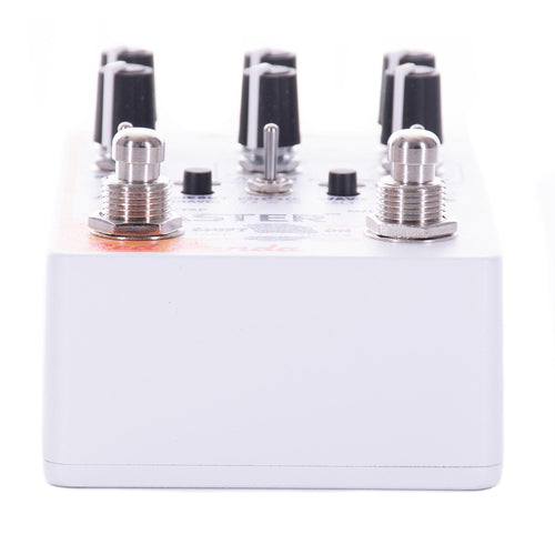 2 delay pedals Red Panda Raster 2 Delay With Pitch Shifter