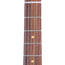 Reverend Charger 290 Pau Ferro, Coffee Burst