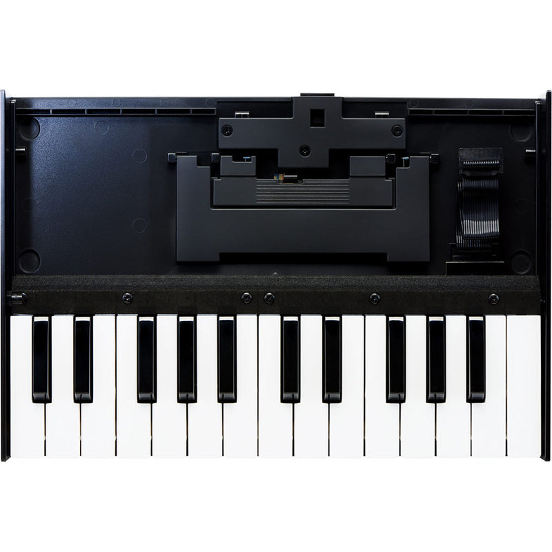 Roland K-25m Boutique Series Keyboard Unit