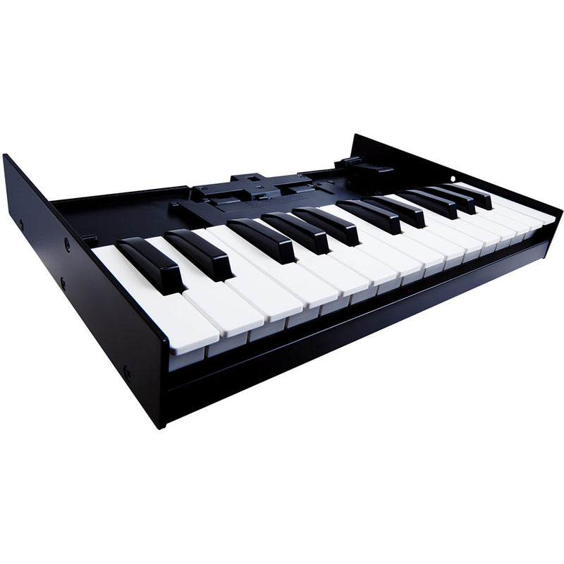 Roland K-25m Boutique Series Keyboard Unit