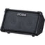 Roland Cube Street II Portable Battery-Powered Stereo Amplifier
