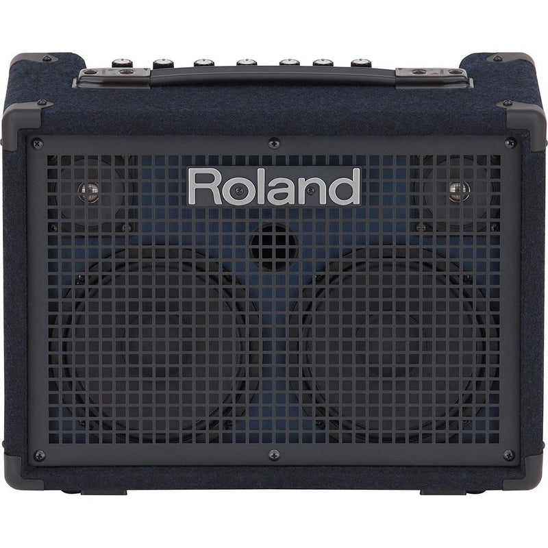 Roland Keyboard Amp - 30W - Battery Powered