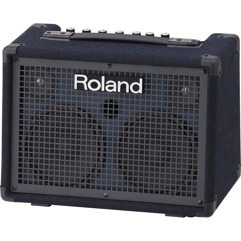 Roland Keyboard Amp - 30W - Battery Powered