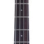 Spector NS Ethos 4, Super Faded Black Gloss