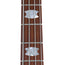 Spector EuroBolt 4 Tobacco Sunburst Gloss
