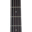 Spector NS Pulse 5 String, Charcoal Grey