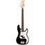 Squier Mini Precision Bass Laurel, White Pickguard Black