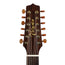 Takamine 12-String Dreadnought With Venetian Cutaway, Satin Solid Cedar