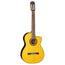 Takamine GC5-CE Classical With Cutaway - Spruce Top - Natural