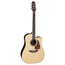 Takamine - P7DC - Pro Series 7 Dreadnought - Natural
