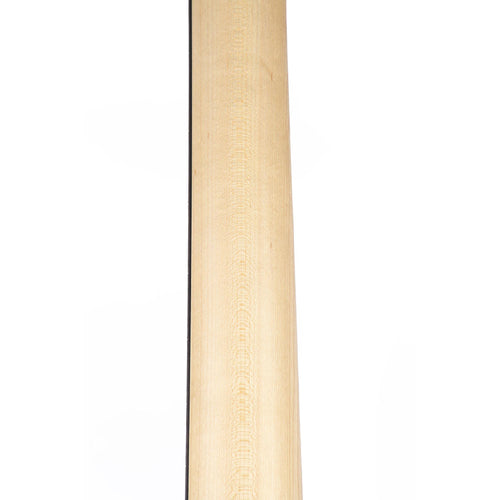 Taylor 110E Dreadnought Walnut Back And Sides Spruce Satin Sunburst Top