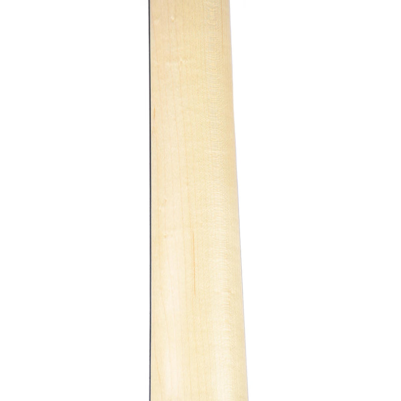 Taylor 114e Walnut Sitka Grand Auditorium