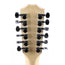 Taylor 150E Dreadnought Walnut Back And Sides Spruce Satin Sunburst Top