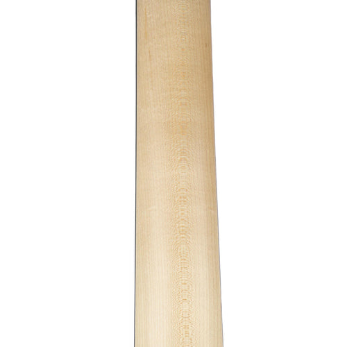 Taylor 150E Dreadnought Walnut Back And Sides Spruce Satin Sunburst Top